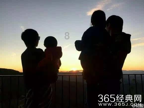 卑鄙的小妖精